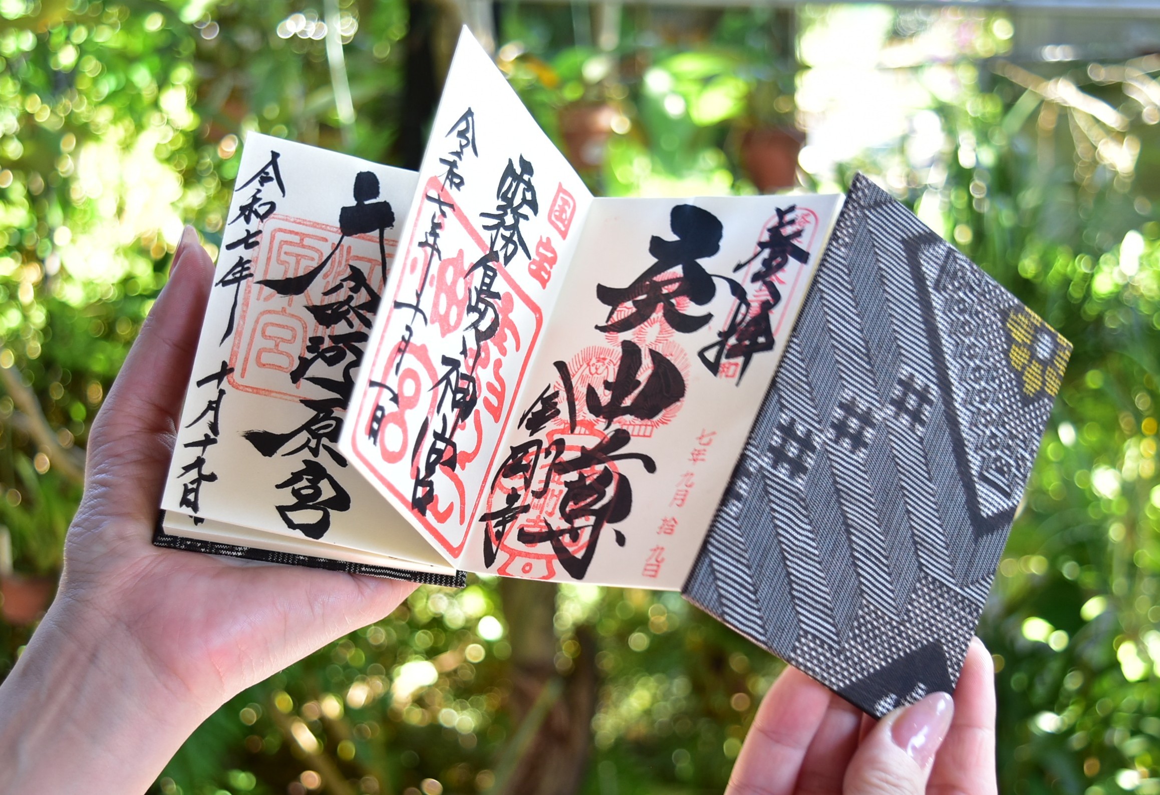 掌 ページを広げたところ